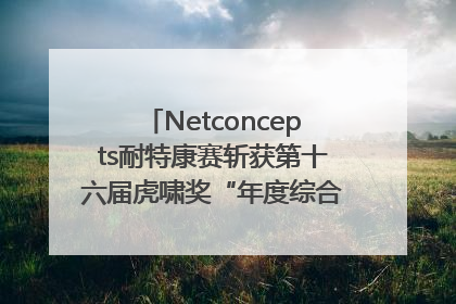 Netconcepts耐特康赛斩获第十六届虎啸奖“年度综合服务商”大奖